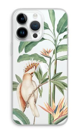 Tropical Parrot