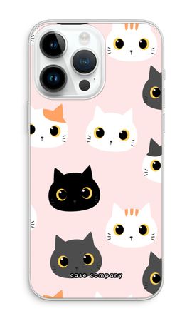 Cats