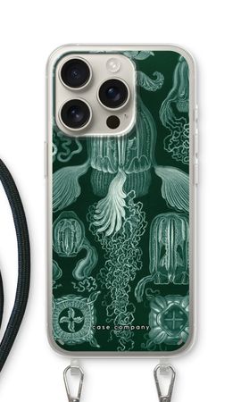 Haeckel Cubomedusae