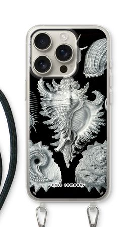 Haeckel Prosobranchia