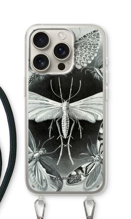 Haeckel Tineida