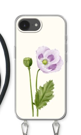 Purple poppy