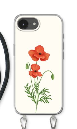 Red poppy
