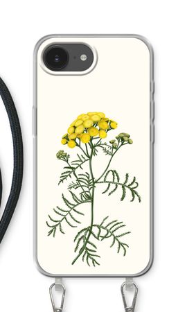 Tansy
