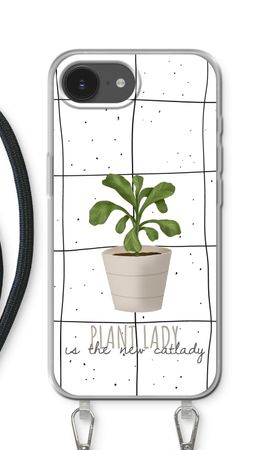 Houseplant on windowpane
