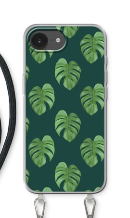 Monstera leaves