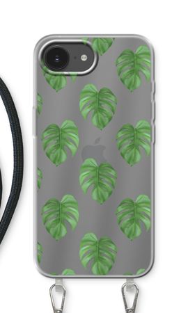 Monstera leaves