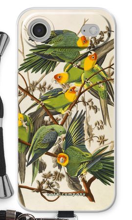 Carolina Parrot