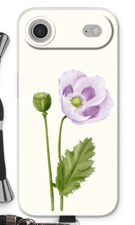 Purple poppy