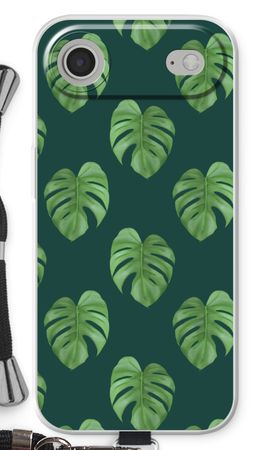 Monstera leaves