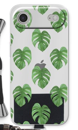 Monstera leaves