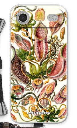 Haeckel Nepenthaceae