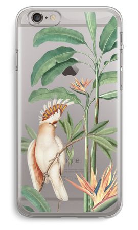 Tropical Parrot