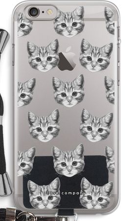 Kitten