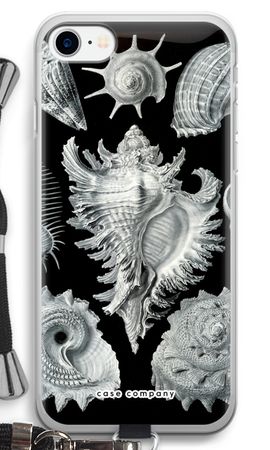 Haeckel Prosobranchia