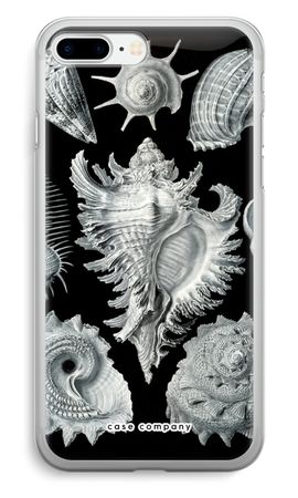 Haeckel Prosobranchia