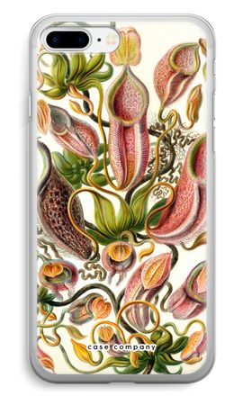 Haeckel Nepenthaceae