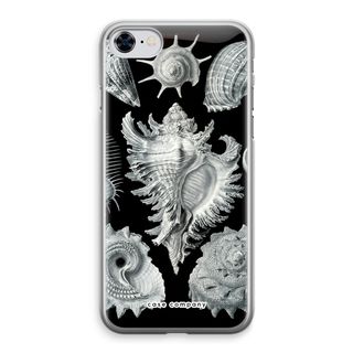 Haeckel Prosobranchia