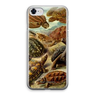 Haeckel Chelonia