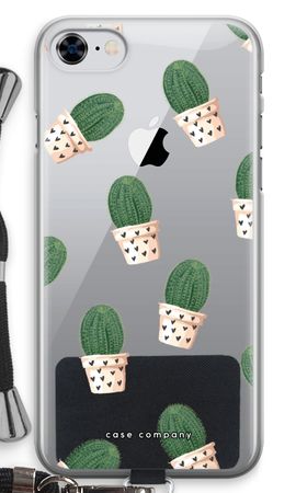Cactus in Rosa