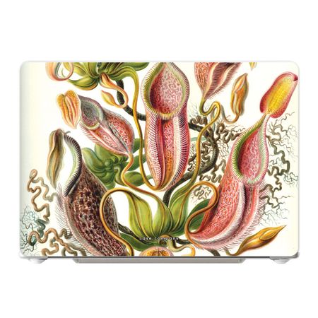 Haeckel Nepenthaceae