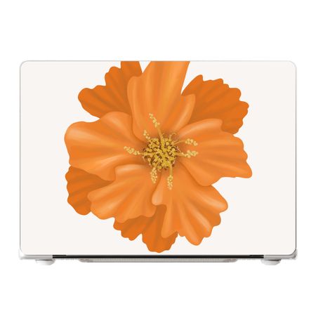 Orange Ellila flower