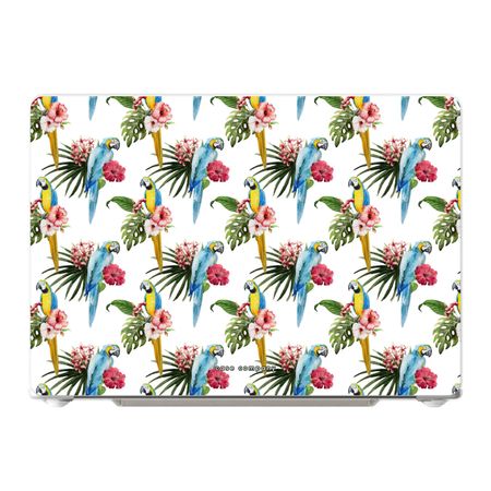 Farbenfrohe Papageien