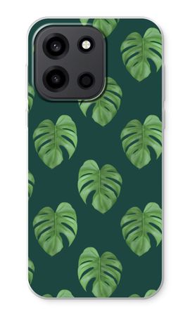Monstera leaves