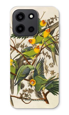 Carolina Parrot