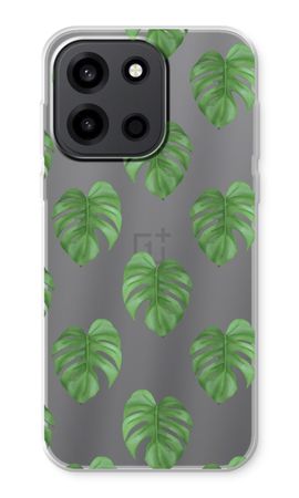Monstera leaves