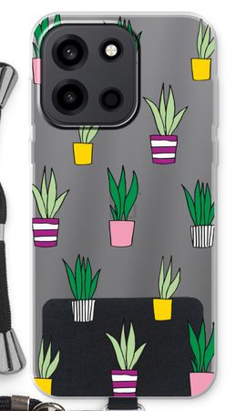 Sanseveria
