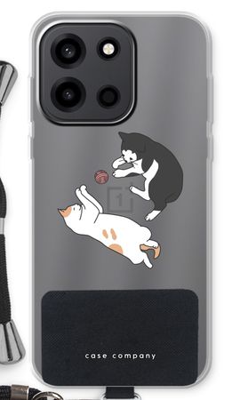 Playing cats