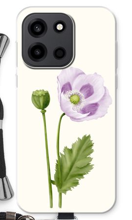 Purple poppy