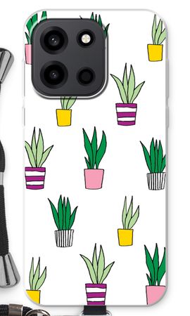 Sanseveria