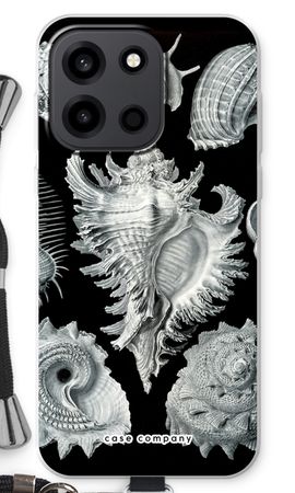 Haeckel Prosobranchia