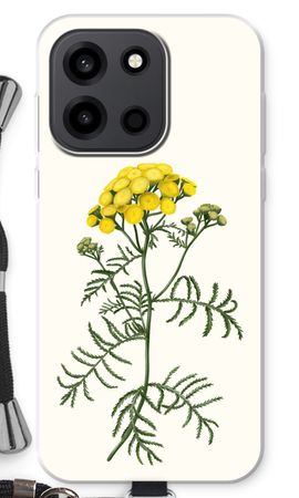 Tansy