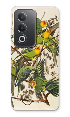 Carolina Parrot