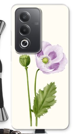 Purple poppy