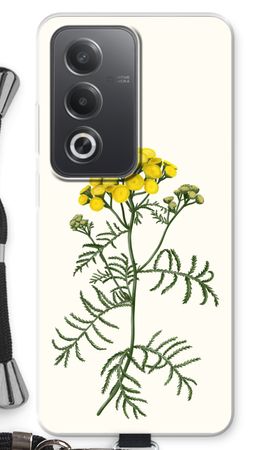 Tansy
