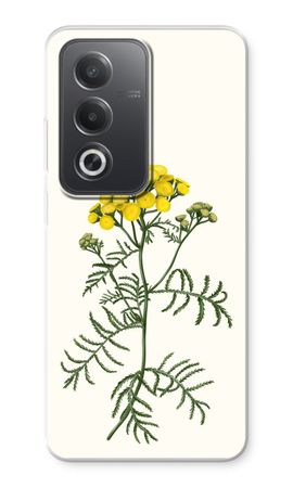 Tansy