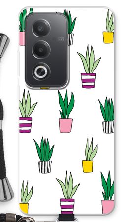 Sanseveria