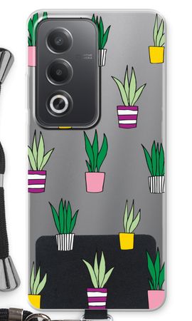Sanseveria