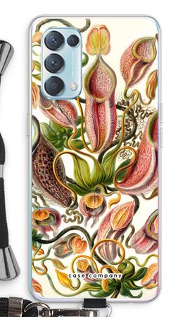 Haeckel Nepenthaceae