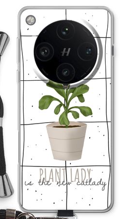 Houseplant on windowpane