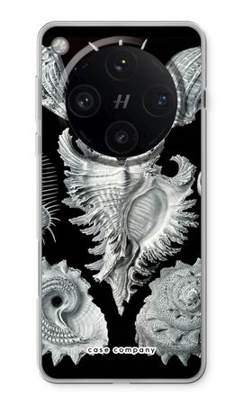 Haeckel Prosobranchia