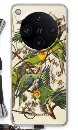 Carolina Parrot