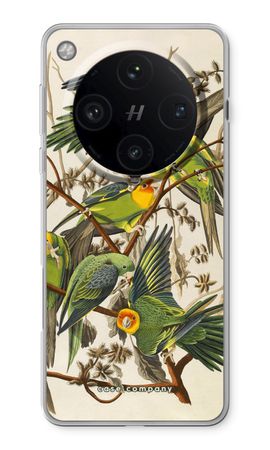 Carolina Parrot