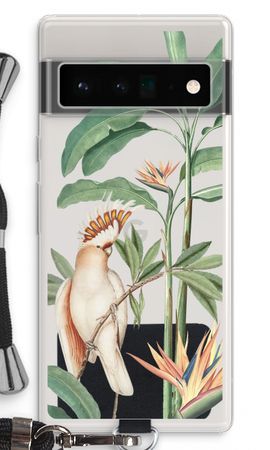 Tropical Parrot