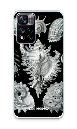 Haeckel Prosobranchia