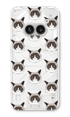 Non Sono Arrabbiato, Sono Solo un Gatto!